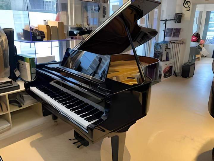 Louez l’instrument idéal pour votre événement.